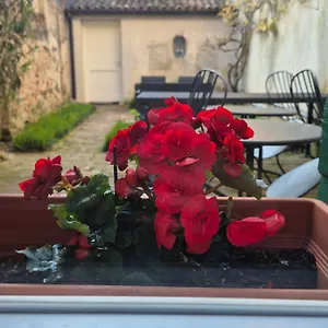 https://19-borgo-cavour.hotelinveneto.com
